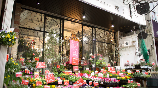 MOTOMACHI 花こ